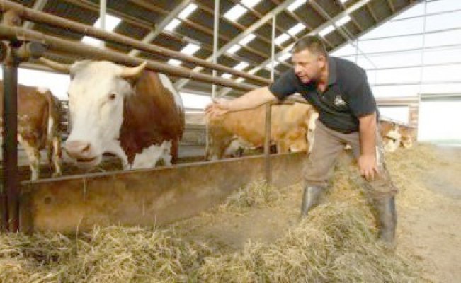 APIA ar putea rămâne fără o parte din cei 5.500 de angajaţi